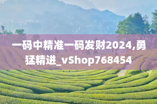 一码中精准一码发财2024,勇猛精进_vShop768454