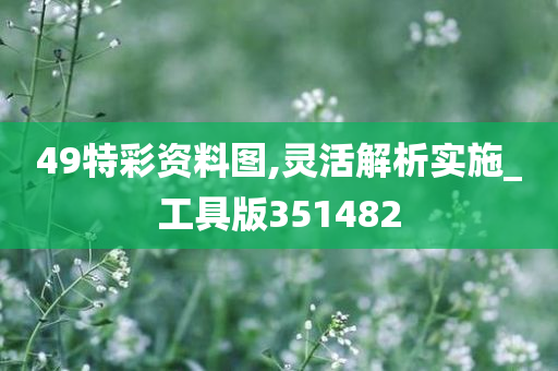 49特彩资料图,灵活解析实施_工具版351482