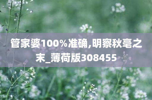 管家婆100%准确,明察秋毫之末_薄荷版308455