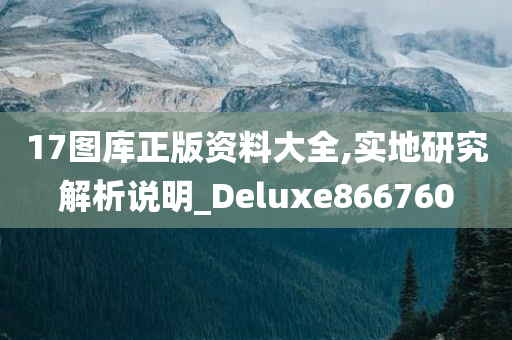 17图库正版资料大全,实地研究解析说明_Deluxe866760