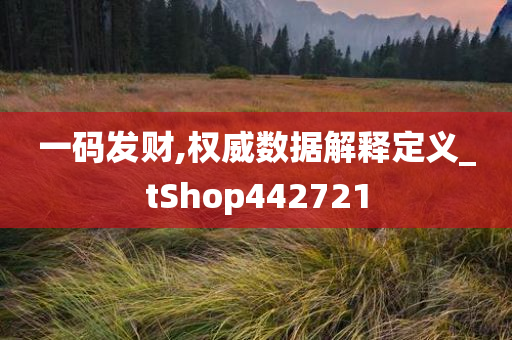 一码发财,权威数据解释定义_tShop442721