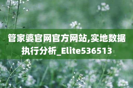 管家婆官网官方网站,实地数据执行分析_Elite536513