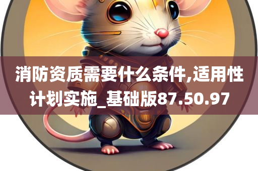 消防资质需要什么条件,适用性计划实施_基础版87.50.97