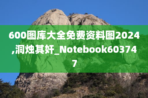 600图库大全免费资料图2024,洞烛其奸_Notebook603747