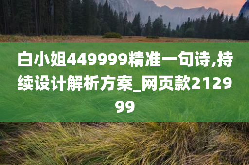 白小姐449999精准一句诗,持续设计解析方案_网页款212999