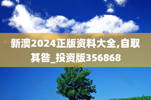 新澳2024正版资料大全,自取其咎_投资版356868