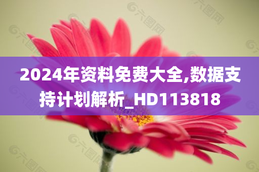 2024年资料免费大全,数据支持计划解析_HD113818