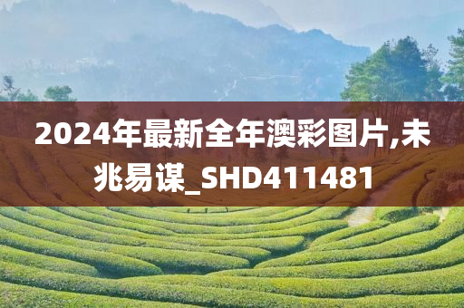 2024年最新全年澳彩图片,未兆易谋_SHD411481