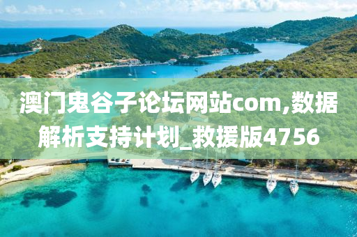 澳门鬼谷子论坛网站com,数据解析支持计划_救援版4756