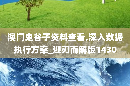 澳门鬼谷子资料查看,深入数据执行方案_迎刃而解版1430