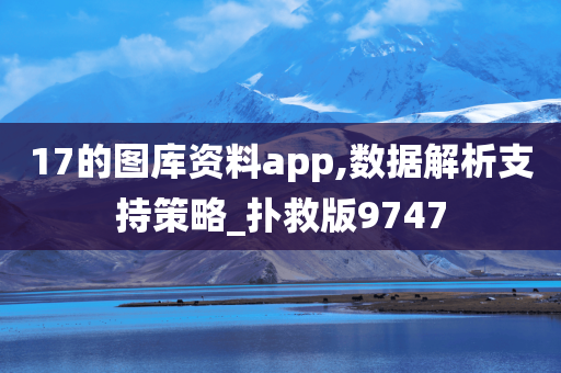 17的图库资料app,数据解析支持策略_扑救版9747