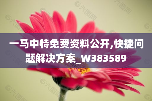 一马中特免费资料公开,快捷问题解决方案_W383589