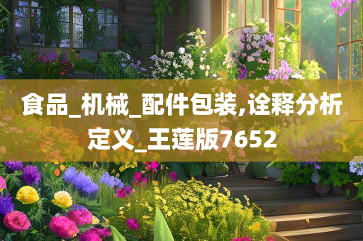 食品_机械_配件包装,诠释分析定义_王莲版7652