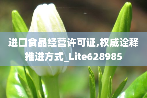 进口食品经营许可证,权威诠释推进方式_Lite628985