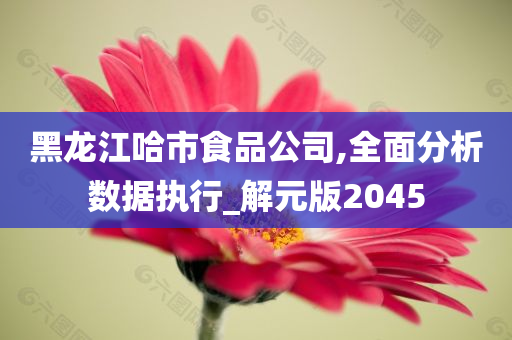 黑龙江哈市食品公司,全面分析数据执行_解元版2045