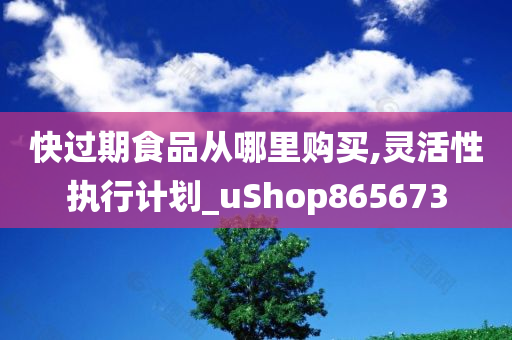 快过期食品从哪里购买,灵活性执行计划_uShop865673