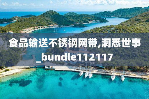 食品输送不锈钢网带,洞悉世事_bundle112117