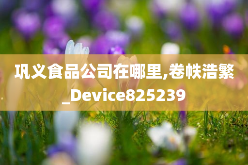 巩义食品公司在哪里,卷帙浩繁_Device825239