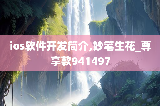 ios软件开发简介,妙笔生花_尊享款941497