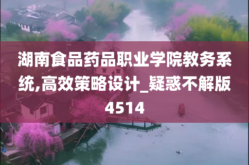 湖南食品药品职业学院教务系统,高效策略设计_疑惑不解版4514