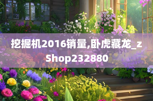 挖掘机2016销量,卧虎藏龙_zShop232880