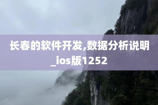 长春的软件开发,数据分析说明_ios版1252