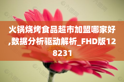 火锅烧烤食品超市加盟哪家好,数据分析驱动解析_FHD版128231