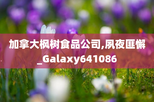 加拿大枫树食品公司,夙夜匪懈_Galaxy641086