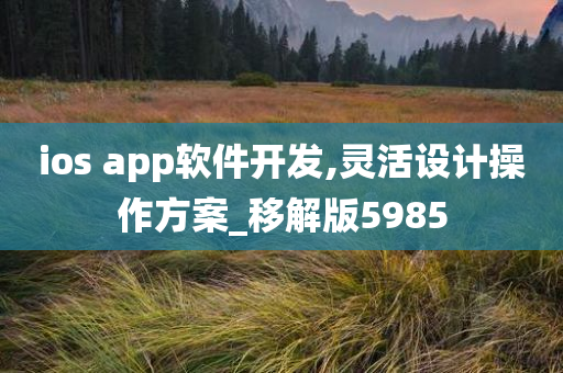 ios app软件开发,灵活设计操作方案_移解版5985