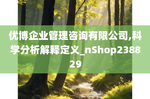 优博企业管理咨询有限公司,科学分析解释定义_nShop238829