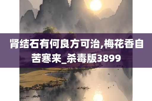 肾结石有何良方可治,梅花香自苦寒来_杀毒版3899