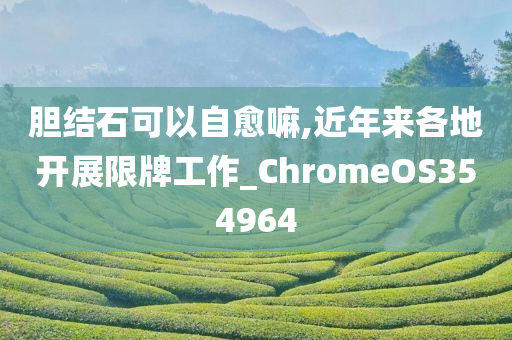 胆结石可以自愈嘛,近年来各地开展限牌工作_ChromeOS354964