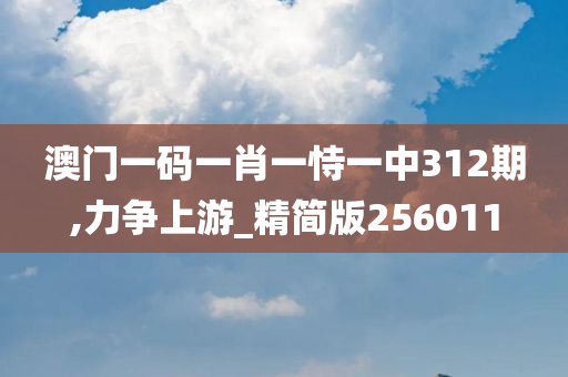 澳门一码一肖一恃一中312期,力争上游_精简版256011