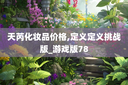 天芮化妆品价格,定义定义挑战版_游戏版78