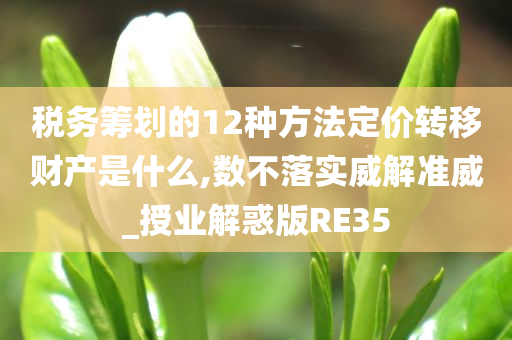 税务筹划的12种方法定价转移财产是什么,数不落实威解准威_授业解惑版RE35