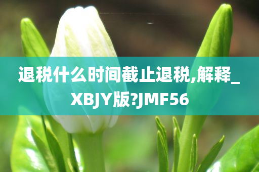 退税什么时间截止退税,解释_XBJY版?JMF56