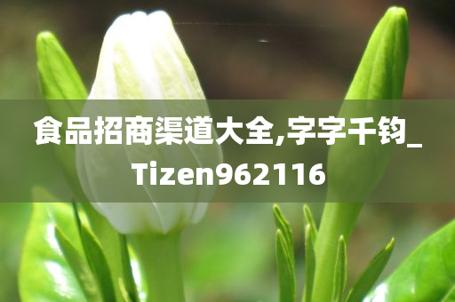 食品招商渠道大全,字字千钧_Tizen962116