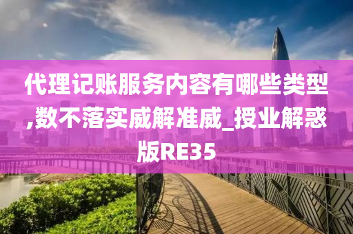 代理记账服务内容有哪些类型,数不落实威解准威_授业解惑版RE35