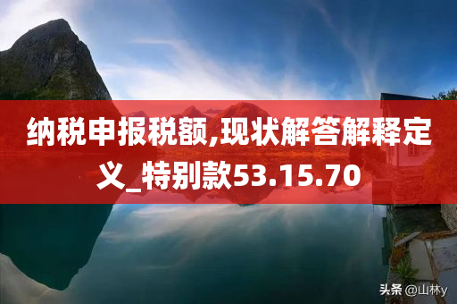 纳税申报税额,现状解答解释定义_特别款53.15.70