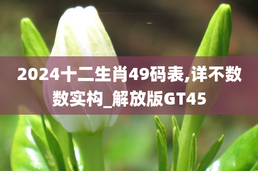 2024十二生肖49码表,详不数数实构_解放版GT45