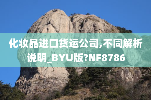 化妆品进口货运公司,不同解析说明_BYU版?NF8786