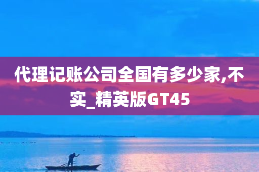 代理记账公司全国有多少家,不实_精英版GT45