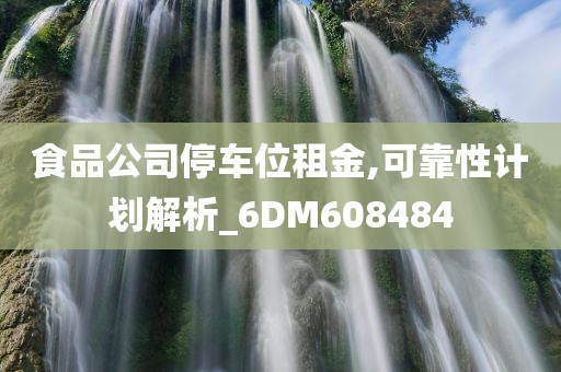 食品公司停车位租金,可靠性计划解析_6DM608484