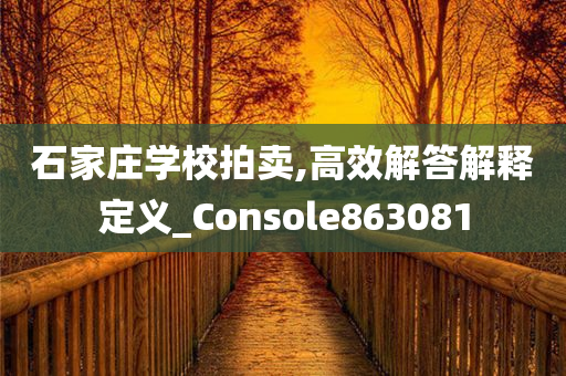 石家庄学校拍卖,高效解答解释定义_Console863081