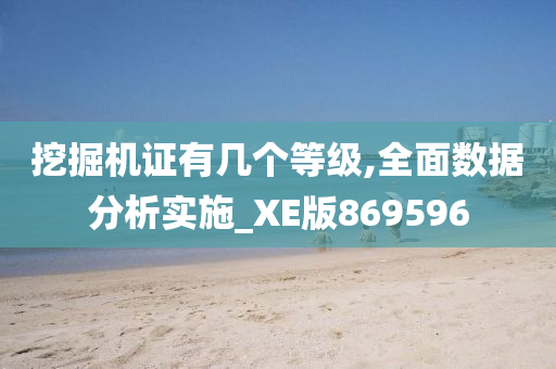 挖掘机证有几个等级,全面数据分析实施_XE版869596