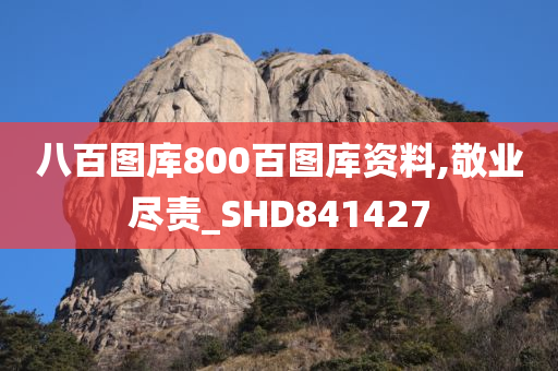 八百图库800百图库资料,敬业尽责_SHD841427