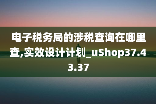 电子税务局的涉税查询在哪里查