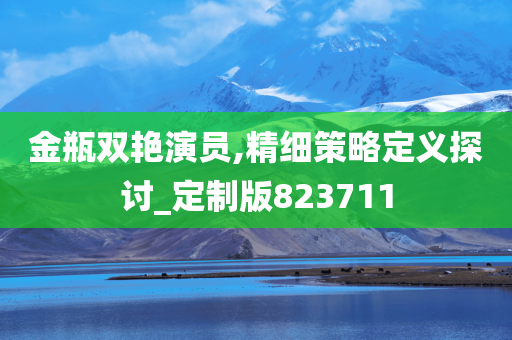 金瓶双艳演员,精细策略定义探讨_定制版823711