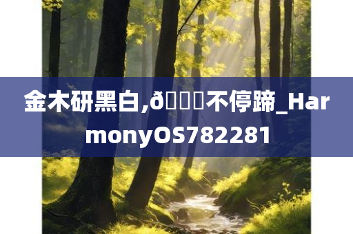 金木研黑白,🐎不停蹄_HarmonyOS782281