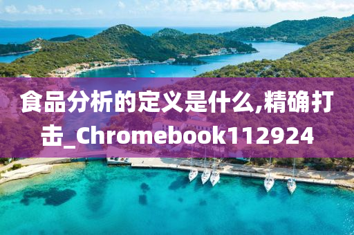 食品分析的定义是什么,精确打击_Chromebook112924